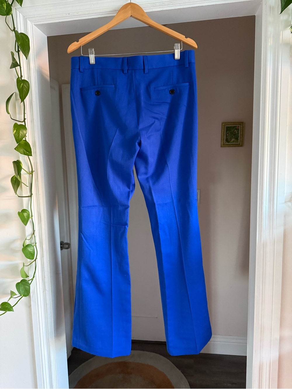 Royal Blue cobalt flare Trousers men’s size 32 - Picture 4 of 8